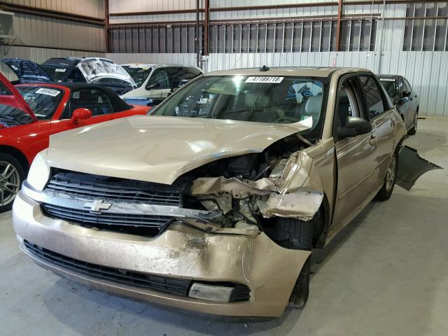 1G1ZU64845F254984 - 2005 CHEVROLET MALIBU MAX ოქროსფერი ფოტო 2