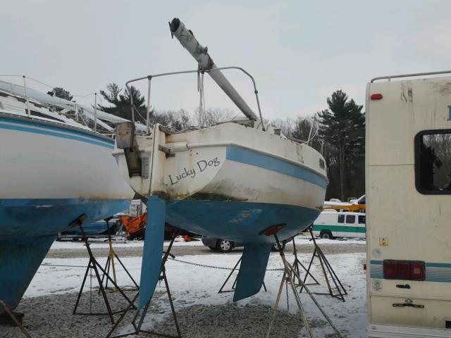 TNE75209M79A - 1979 ABAC BOAT TWO TONE photo 4