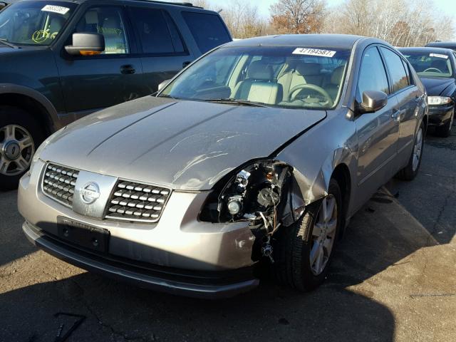 1N4BA41E54C928873 - 2004 NISSAN MAXIMA SE BEIGE photo 2