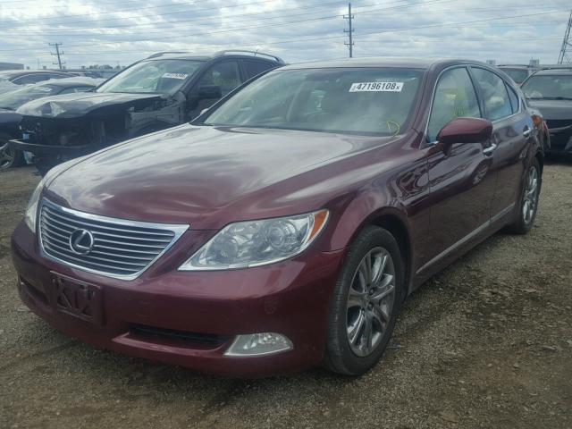 JTHBL46F485054157 - 2008 LEXUS LS 460 MAROON photo 2