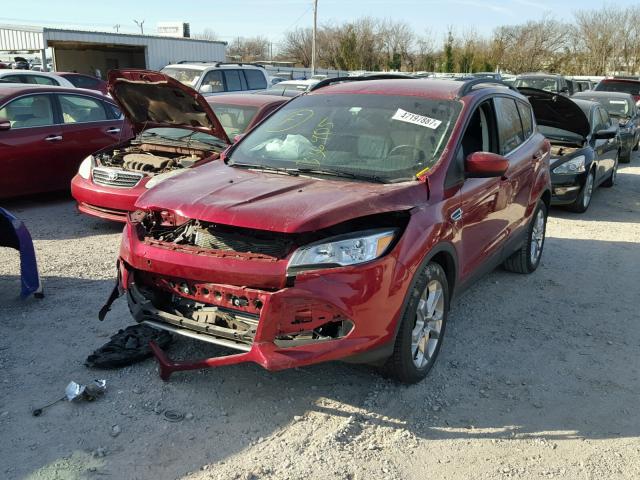 1FMCU0G95GUB36905 - 2016 FORD ESCAPE SE RED photo 2