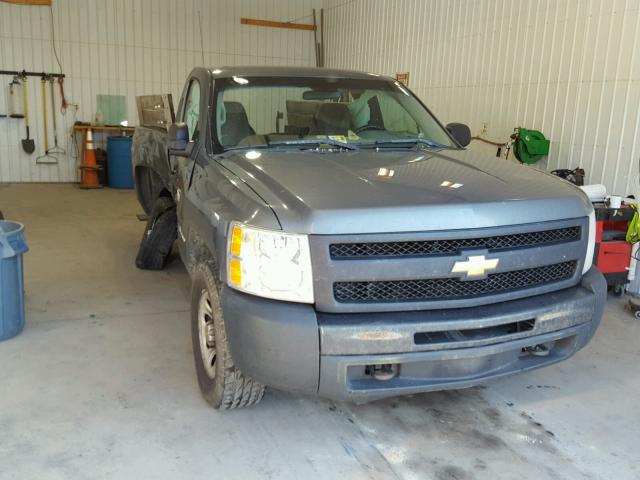 1GCNKPEX0BZ259522 - 2011 CHEVROLET SILVERADO GRAY photo 1