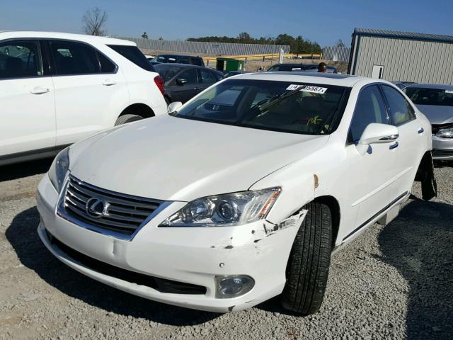 JTHBK1EG4C2480940 - 2012 LEXUS ES 350 WHITE photo 2