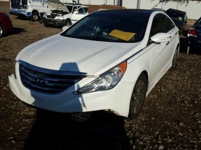 5NPEC4AC6EH828416 - 2014 HYUNDAI SONATA SE WHITE photo 2