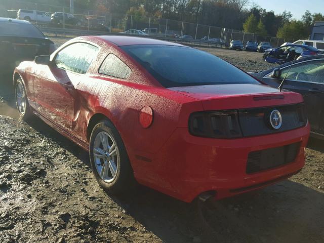 1ZVBP8AM5E5290697 - 2014 FORD MUSTANG RED photo 3