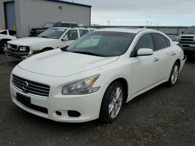 1N4AA51E09C814269 - 2009 NISSAN MAXIMA S WHITE photo 2