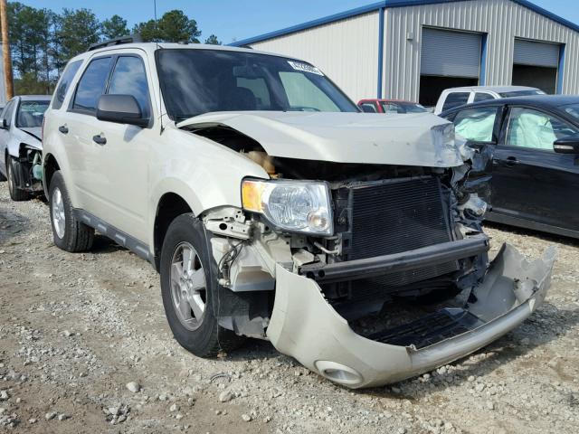 1FMCU03G29KD03983 - 2009 FORD ESCAPE XLT TAN photo 1