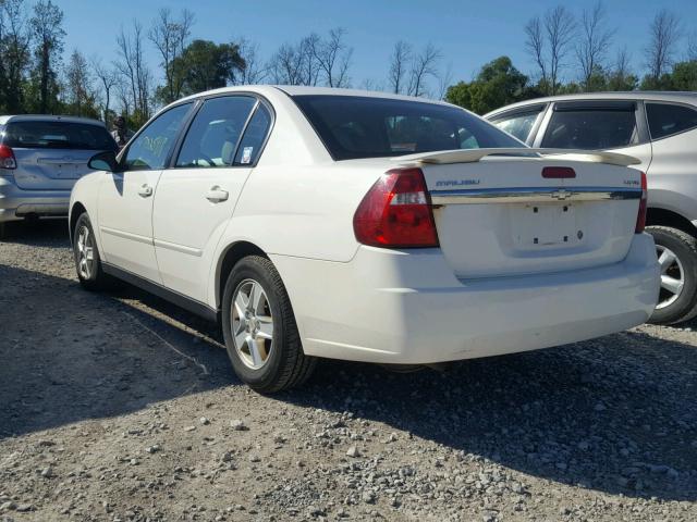 1G1ZT52845F262227 - 2005 CHEVROLET MALIBU LS თეთრი ფოტო 3