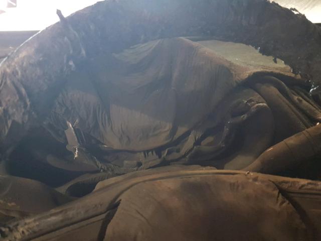 1G1ZC5STXHF262032 - 2017 CHEVROLET MALIBU LS Boz foto 8