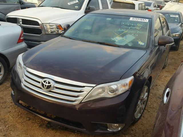 4T1BK3DB4CU463462 - 2012 TOYOTA AVALON BAS MAROON photo 2