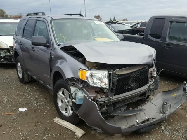 1FMCU49H28KE64081 - 2008 FORD ESCAPE HEV BLUE photo 1