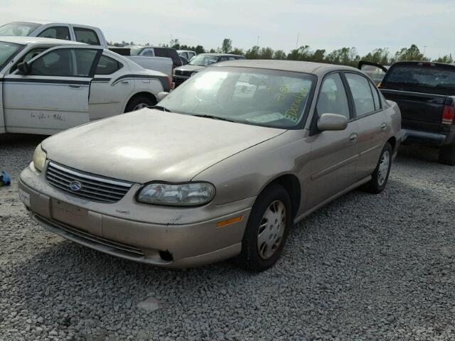 1G1ND52M1W6106138 - 1998 CHEVROLET MALIBU TAN photo 2