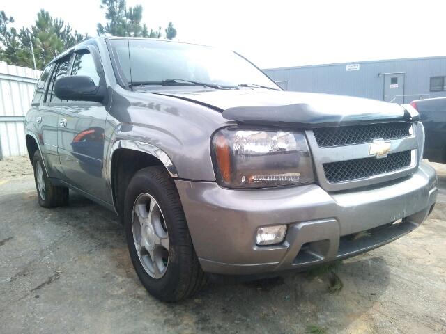 1GNDT33S692109126 - 2009 CHEVROLET TRAILBLAZE GRAY photo 1