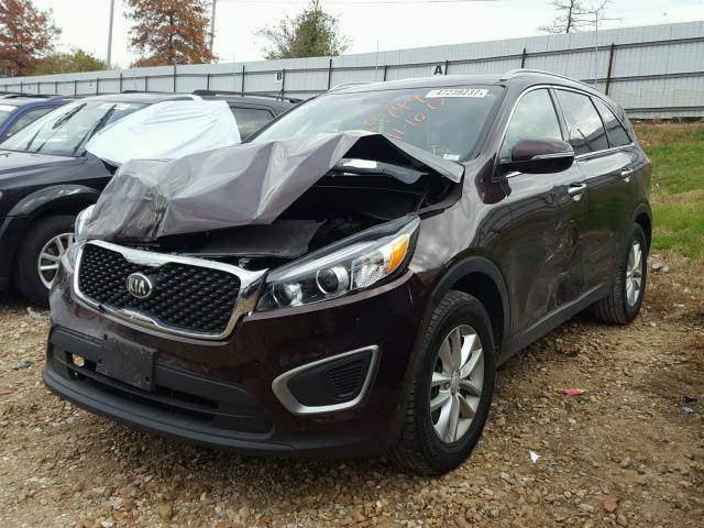 5XYPG4A37GG027033 - 2016 KIA SORENTO LX PURPLE photo 2