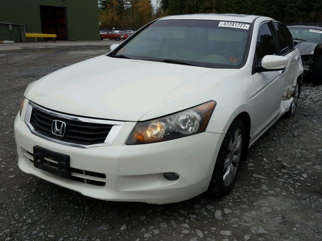 1HGCP36828A057668 - 2008 HONDA ACCORD EXL WHITE photo 2