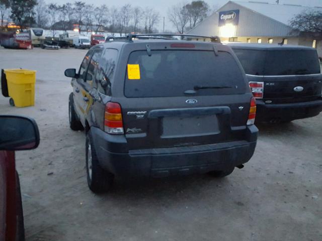 1FMYU93126KD35446 - 2006 FORD ESCAPE XLT BROWN photo 3