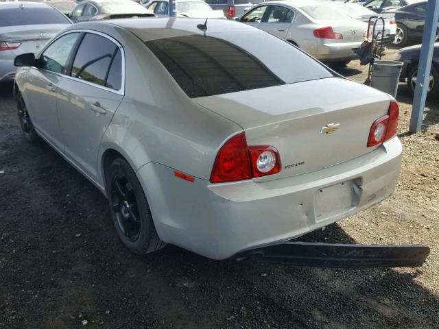 1G1ZB5E18BF232001 - 2011 CHEVROLET MALIBU LS Qəhvəyi foto 3