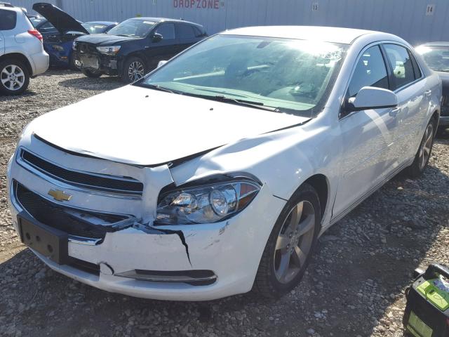 1G1ZC5EU3BF137594 - 2011 CHEVROLET MALIBU 1LT WHITE photo 2