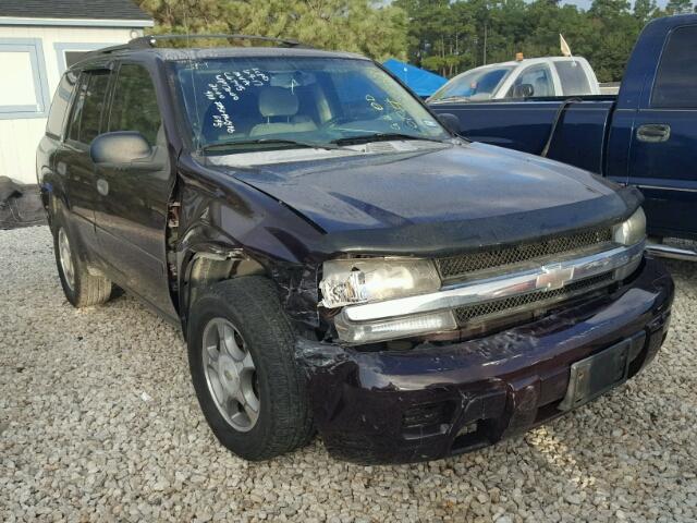 1GNDT13S282109563 - 2008 CHEVROLET TRAILBLAZE PURPLE photo 1