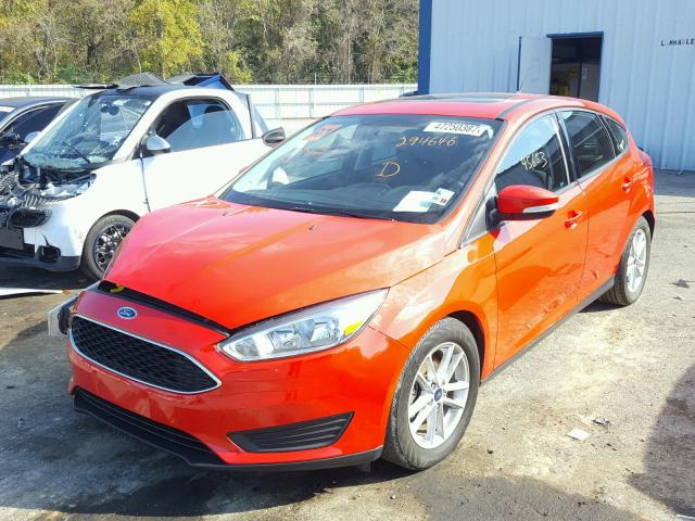 1FADP3K28GL294646 - 2016 FORD FOCUS SE RED photo 2