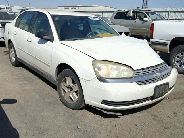 1G1ZT52835F260906 - 2005 CHEVROLET MALIBU LS თეთრი ფოტო 1