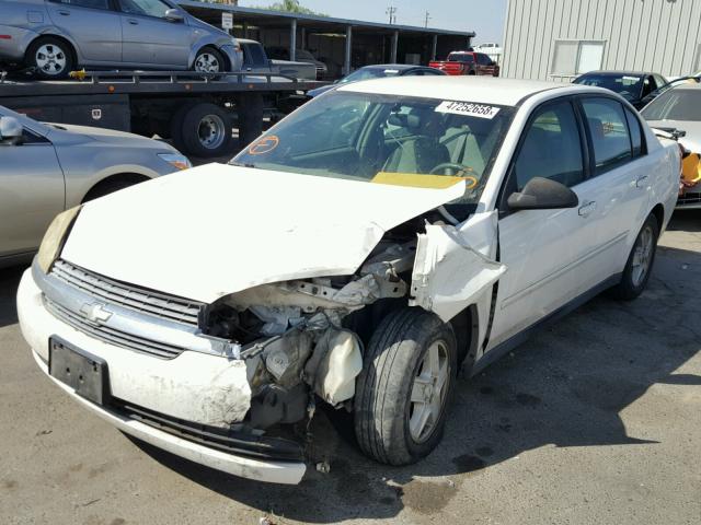 1G1ZT52835F260906 - 2005 CHEVROLET MALIBU LS თეთრი ფოტო 2
