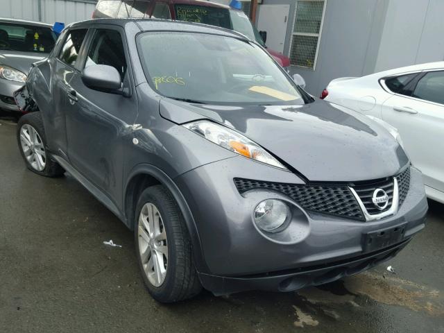 JN8AF5MR6DT216811 - 2013 NISSAN JUKE S GRAY photo 1