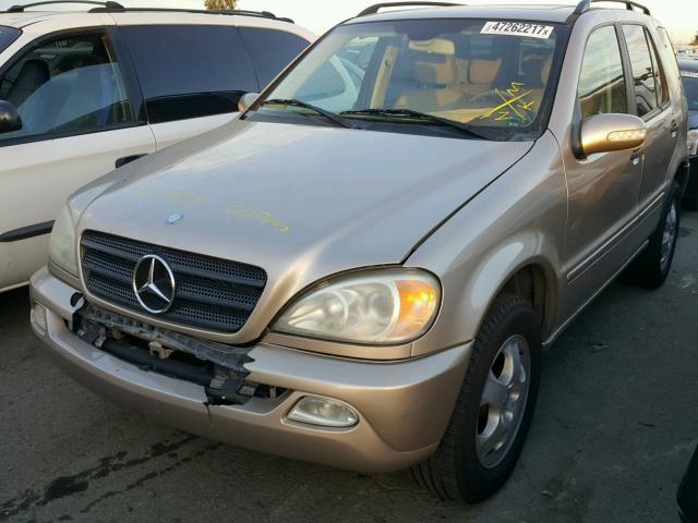 4JGAB57E83A431452 - 2003 MERCEDES-BENZ ML 350 GOLD photo 2