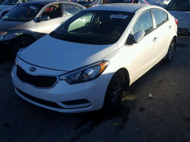 KNAFX4A68E5250898 - 2014 KIA FORTE LX WHITE photo 2