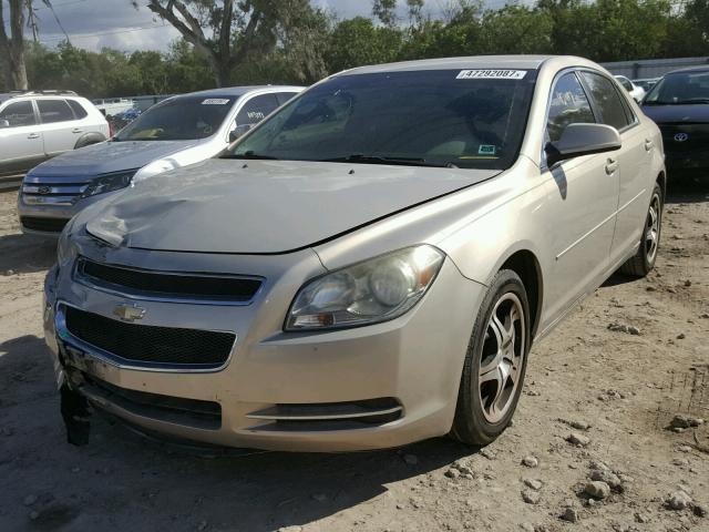 1G1ZC5EB2AF143593 - 2010 CHEVROLET MALIBU 1LT GOLD photo 2