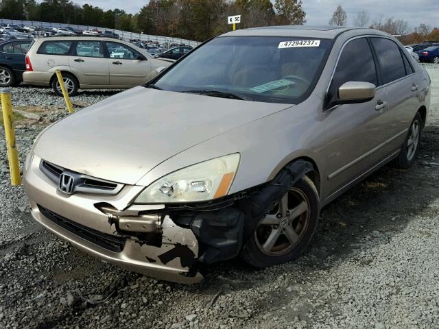 1HGCM56673A077118 - 2003 HONDA ACCORD EX GOLD photo 2