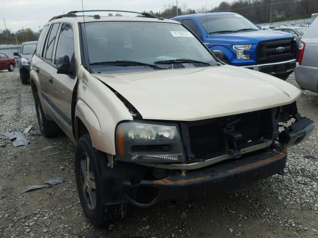 1GNDT13S552282845 - 2005 CHEVROLET TRAILBLAZE BEIGE photo 1