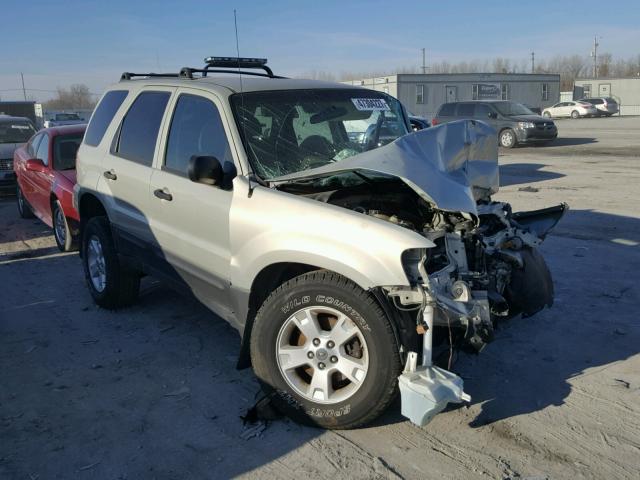 1FMYU93115KD62278 - 2005 FORD ESCAPE XLT TAN photo 1