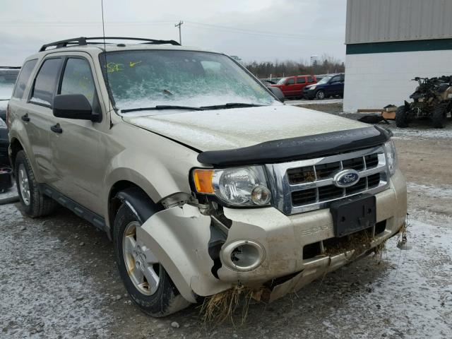 1FMCU9DG5BKC70714 - 2011 FORD ESCAPE XLT GOLD photo 1