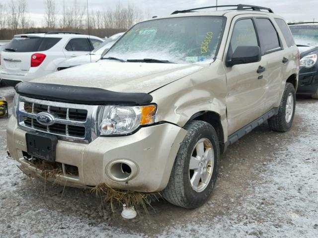 1FMCU9DG5BKC70714 - 2011 FORD ESCAPE XLT GOLD photo 2