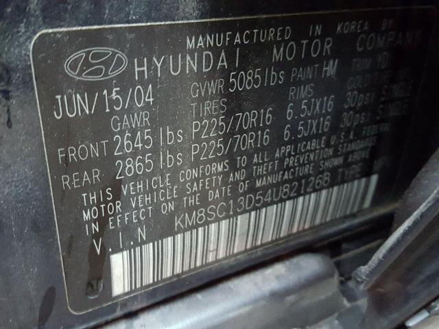 KM8SC13D54U821268 - 2004 HYUNDAI SANTA FE G BLUE photo 10