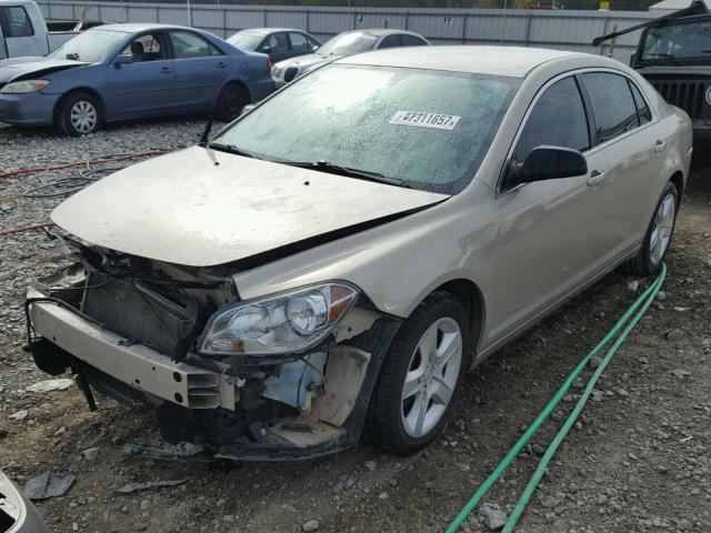 1G1ZA5EU7BF365149 - 2011 CHEVROLET MALIBU LS 金色 照片 2