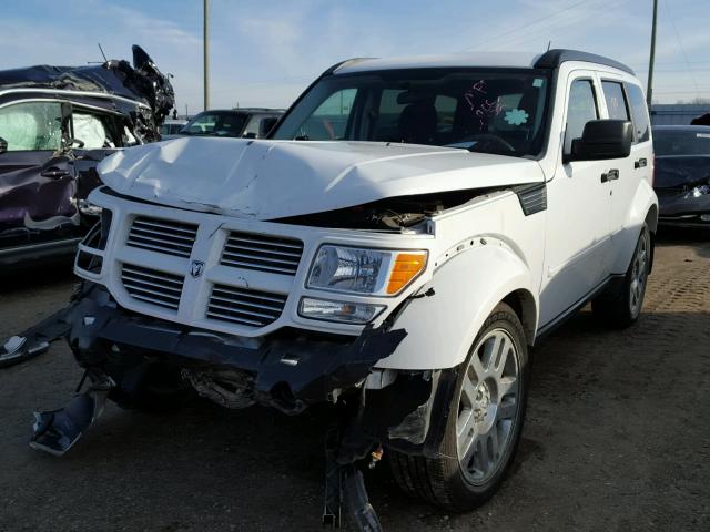 1D4PU4GK0BW572125 - 2011 DODGE NITRO HEAT WHITE photo 2