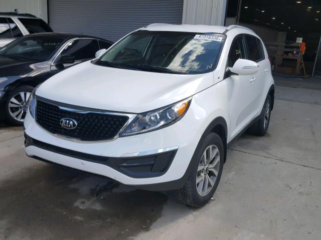 KNDPB3AC3E7577994 - 2014 KIA SPORTAGE B WHITE photo 2