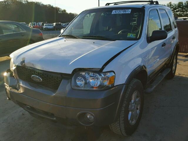 1FMYU03116KC34099 - 2006 FORD ESCAPE XLT WHITE photo 2