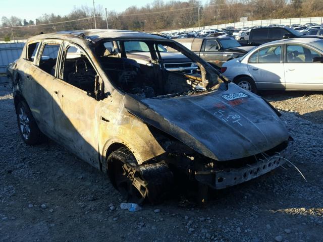 1FMCU0JX7EUA51584 - 2014 FORD ESCAPE TIT BURN photo 1