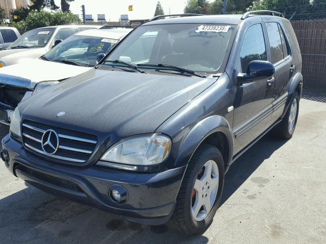 4JGAB74E21A269010 - 2001 MERCEDES-BENZ ML 55 BLACK photo 2