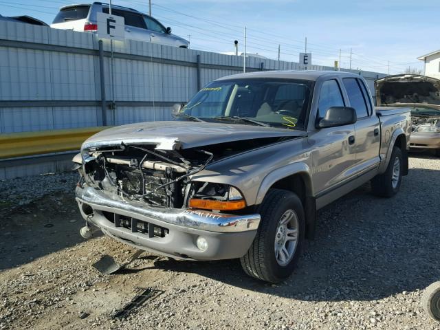 1B7HL48N82S651949 - 2002 DODGE DAKOTA QUA TAN photo 2