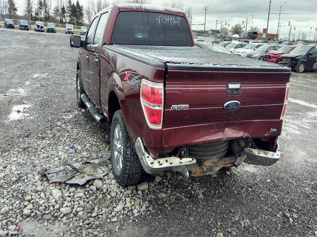 1FTFW1EV6AFA99747 - 2010 FORD F150 SUPER MAROON photo 3