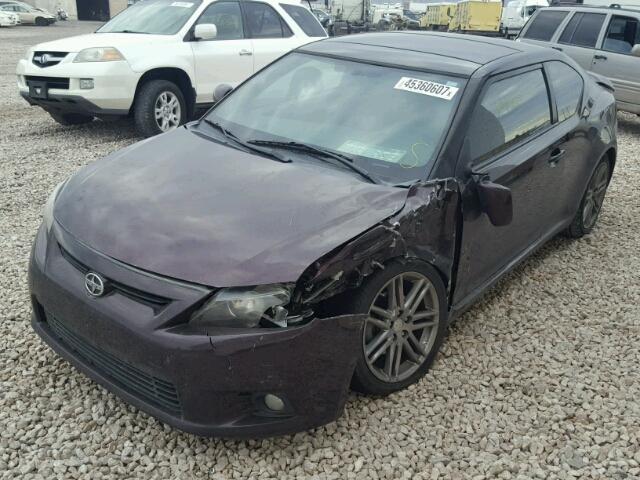 JTKJF5C72C3044831 - 2012 SCION TC PURPLE photo 2