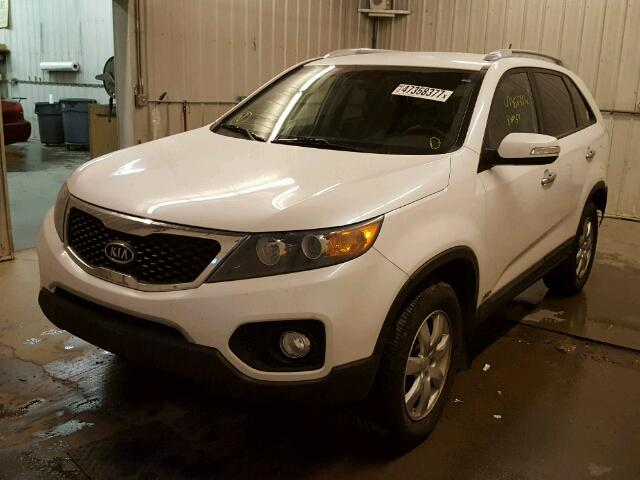 5XYKTCA19BG095969 - 2011 KIA SORENTO BA WHITE photo 2