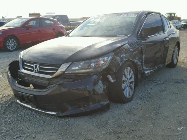 1HGCR2F89DA059500 - 2013 HONDA ACCORD EXL BLACK photo 2