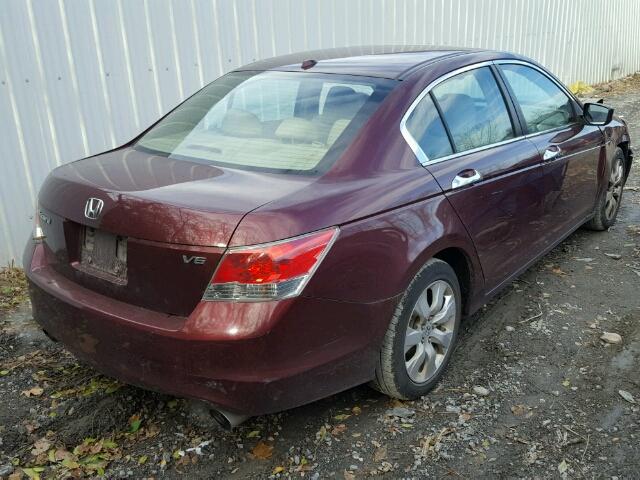 1HGCP36809A040305 - 2009 HONDA ACCORD EXL MAROON photo 4