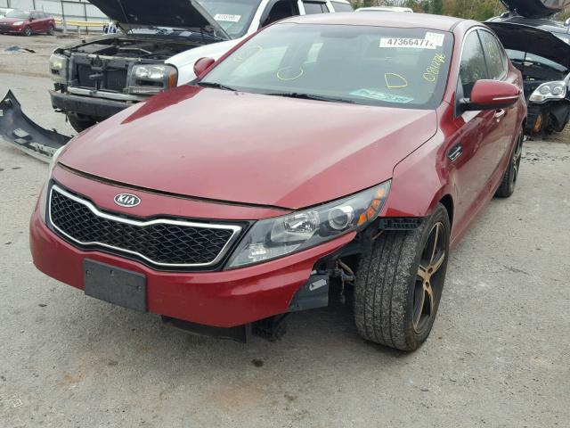 5XXGR4A66CG084276 - 2012 KIA OPTIMA SX RED photo 2