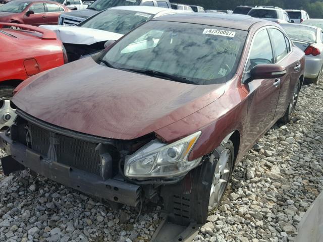 1N4AA5AP9AC802580 - 2010 NISSAN MAXIMA S MAROON photo 2